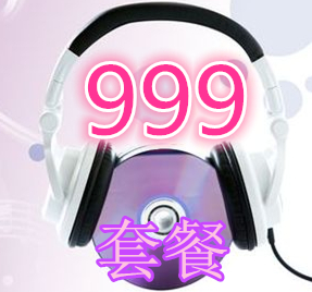 迷你套餐三：999元-歌曲推广